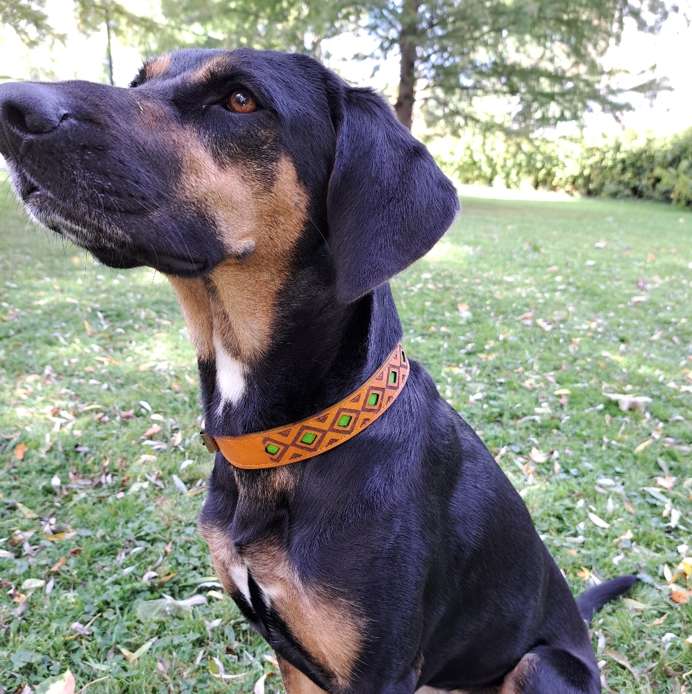 Leather Geometric Pattern Dog Collar - Green (2 Sizes)